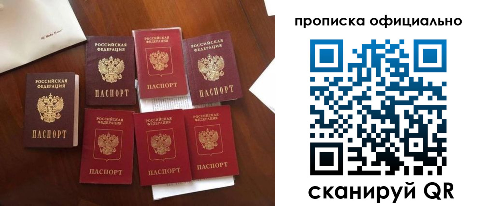 прописка законно в Опочке